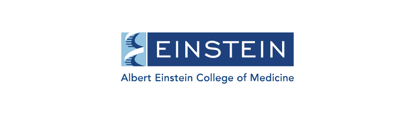 logo.einstein@2x